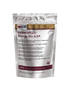 FERMOPLUS Energy Glu 3.0